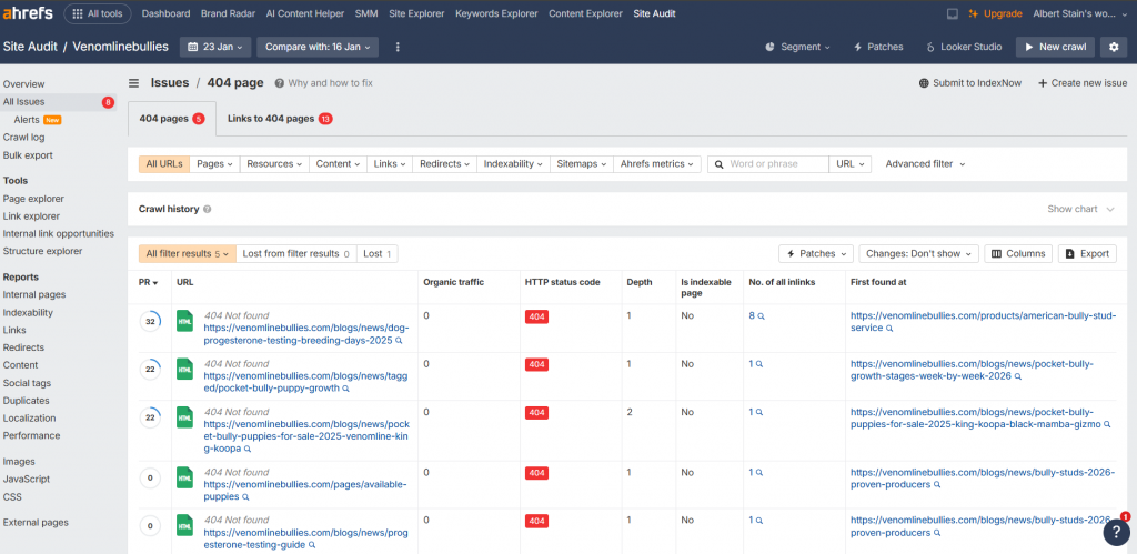 Ahrefs Site Audit: What “404 Page” Error Means & How to Fix
